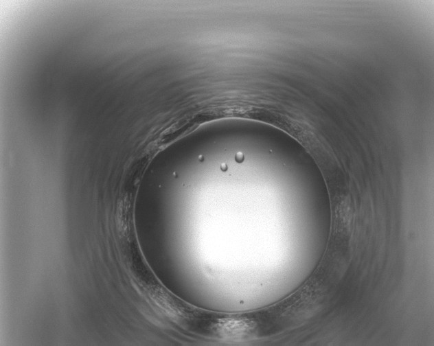 X0000061730218200512050942