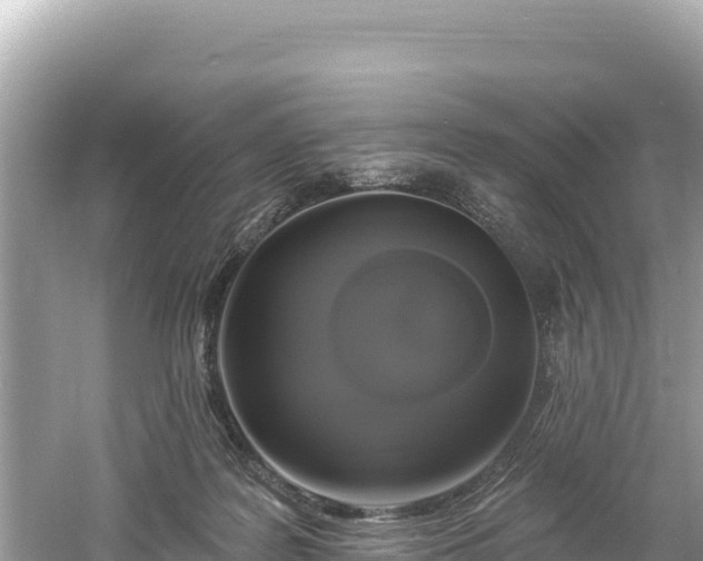 X0000061730219200512050942