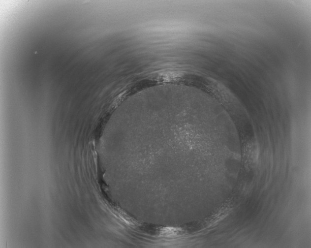 X0000061730222200512050942