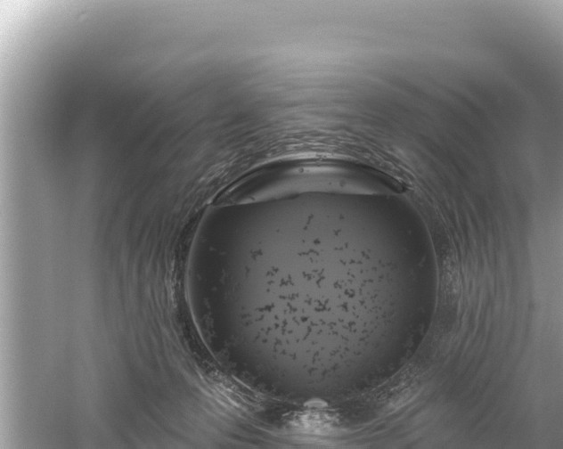 X0000061730223200512050942