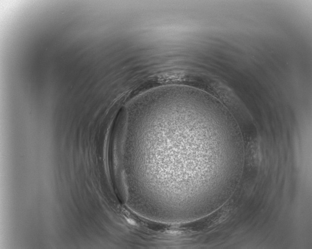 X0000061730224200512050942