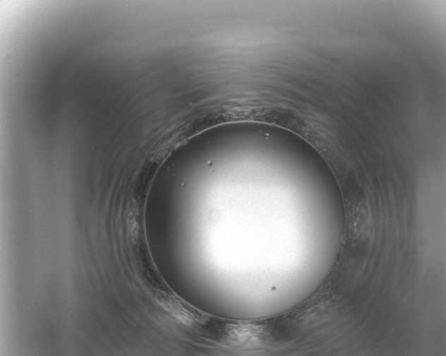 X0000061730226200512050942