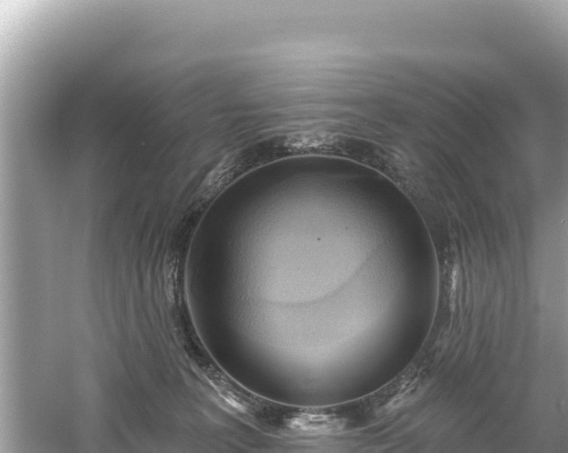 X0000061730227200512050942