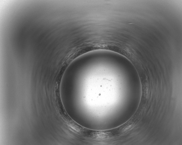 X0000061730229200512050942