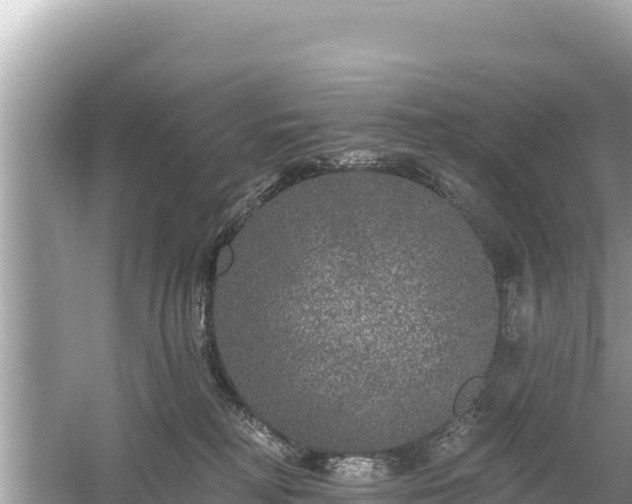 X0000061730230200512050942