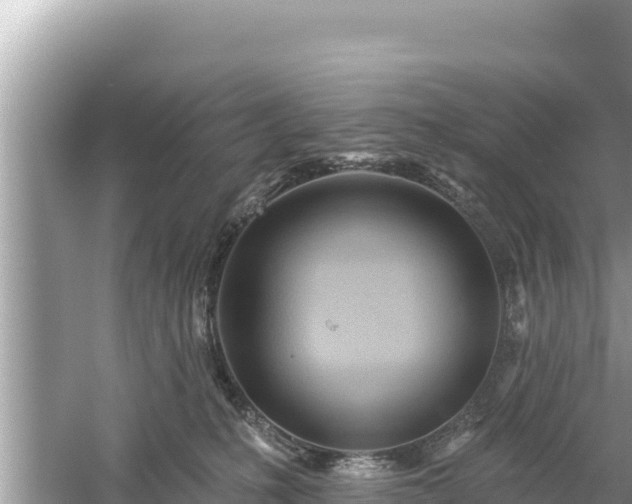 X0000061730231200512050942