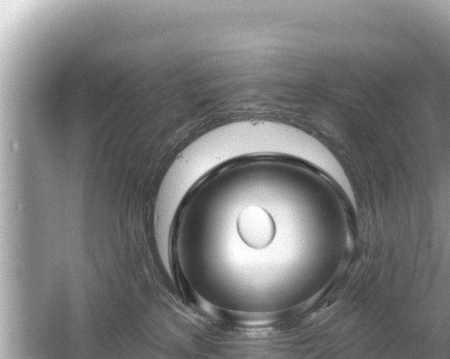 X0000061730233200512050942