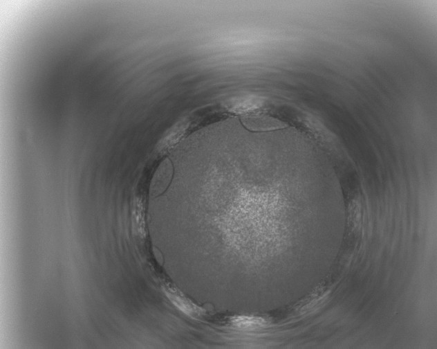 X0000061730234200512050942