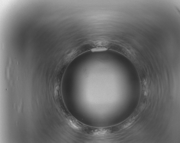 X0000061730235200512050942