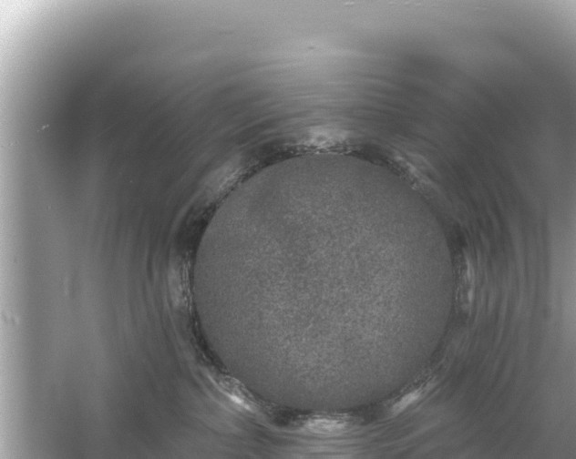 X0000061730236200512050942