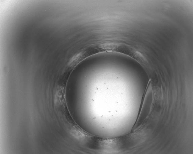 X0000061730237200512050942