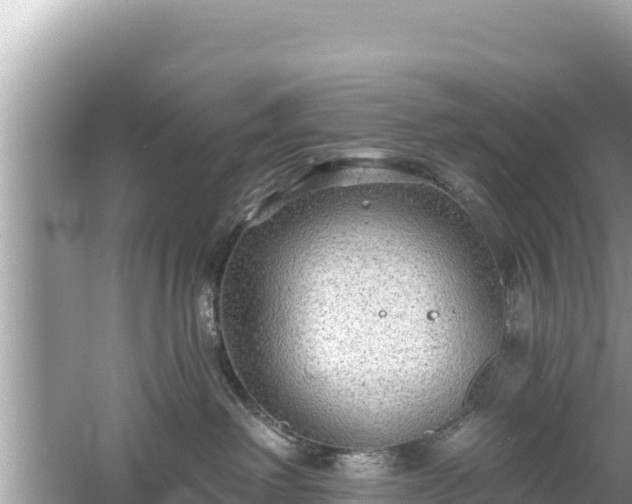 X0000061730238200512050942