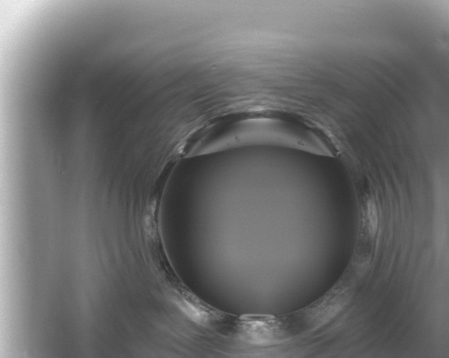 X0000061730239200512050942