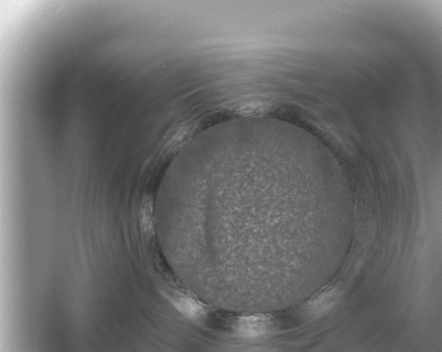 X0000061730240200512050942