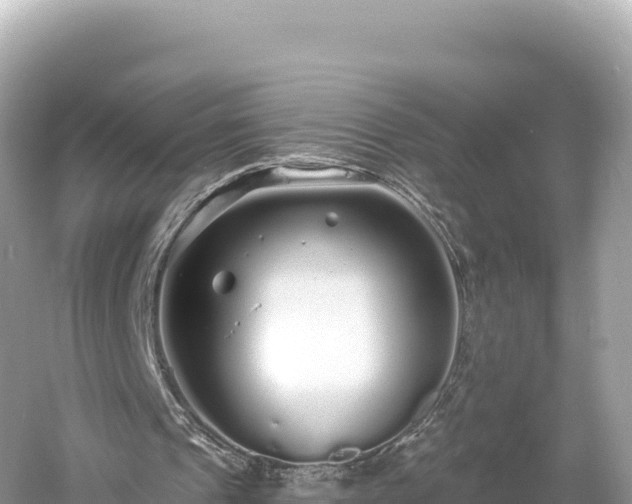 X0000061730241200512050941