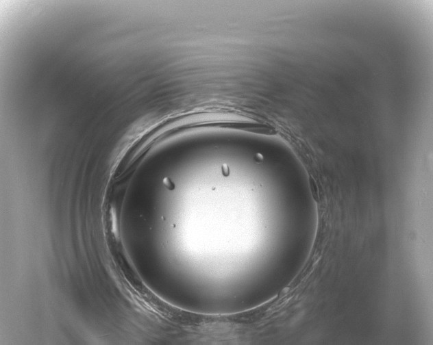 X0000061730242200512050941