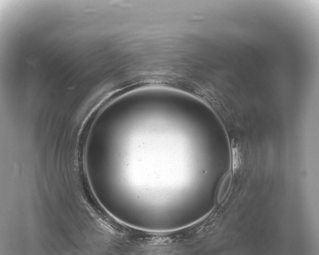 X0000061730243200512050941