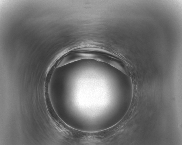 X0000061730244200512050941