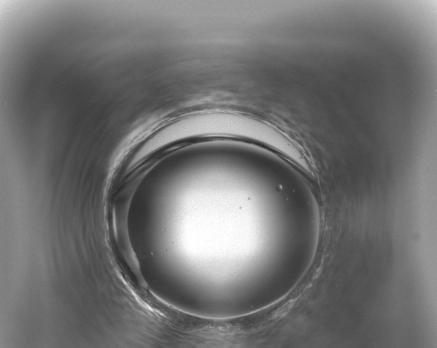 X0000061730245200512050941