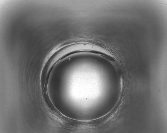 X0000061730246200512050941