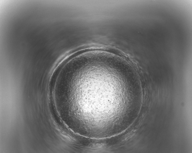 X0000061730247200512050941