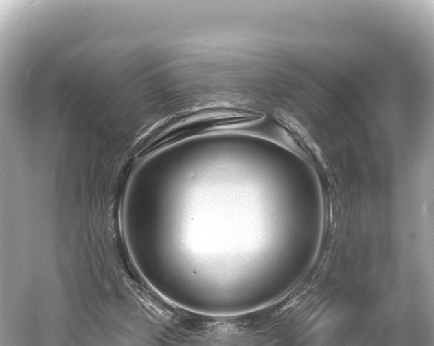 X0000061730249200512050941