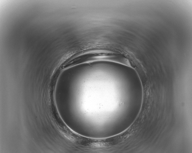 X0000061730250200512050941