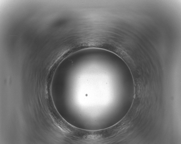 X0000061730251200512050941