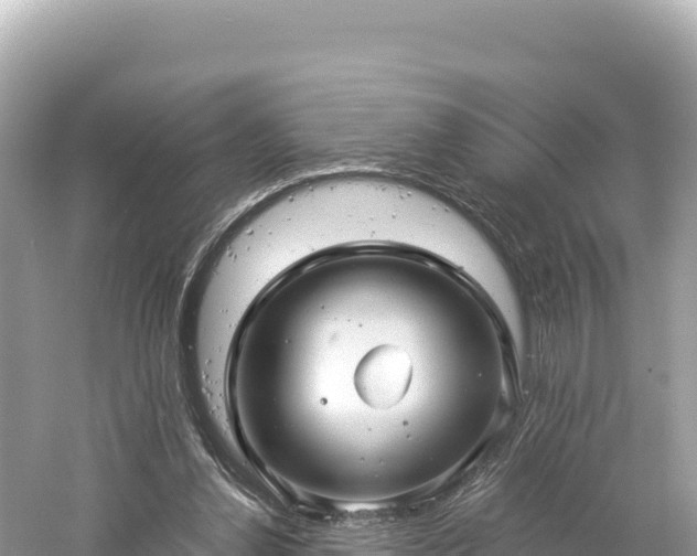 X0000061730252200512050941