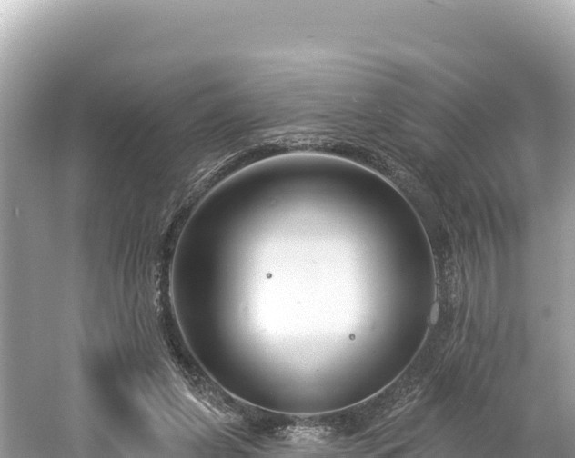 X0000061730255200512050941