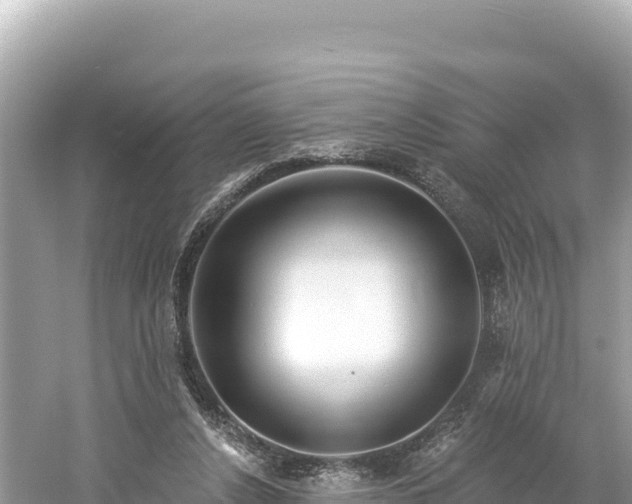 X0000061730256200512050941