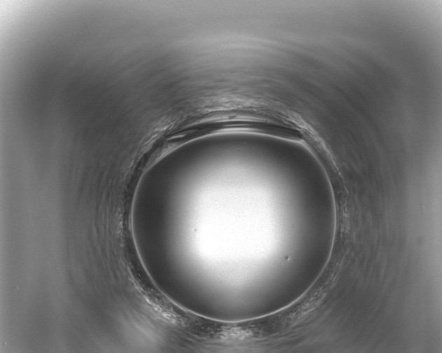 X0000061730257200512050941