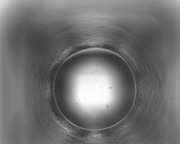 X0000061730260200512050941