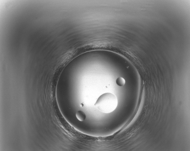 X0000061730261200512050941