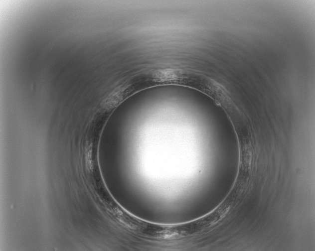 X0000061730267200512050941