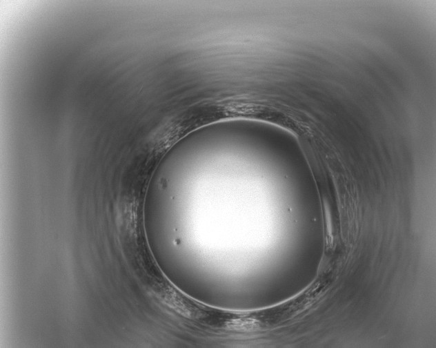 X0000061730271200512050941