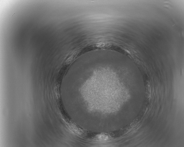 X0000061730272200512050941