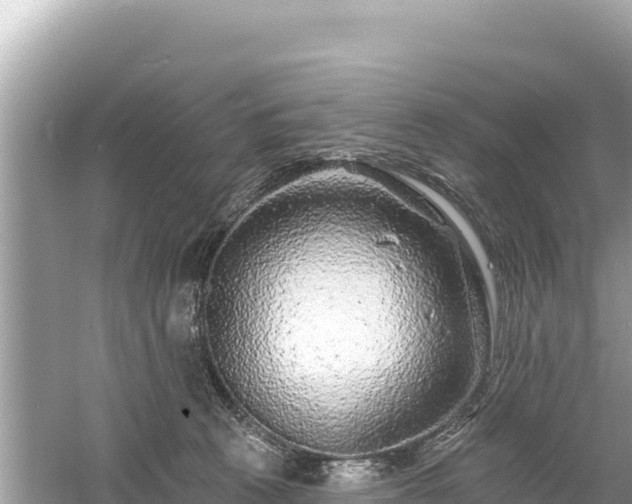 X0000061730273200512050941