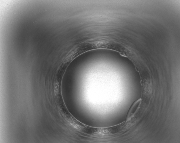 X0000061730278200512050941