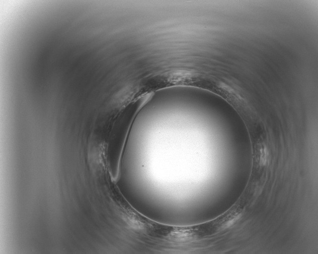 X0000061730280200512050942