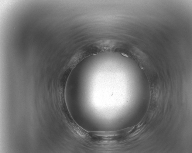 X0000061730283200512050942