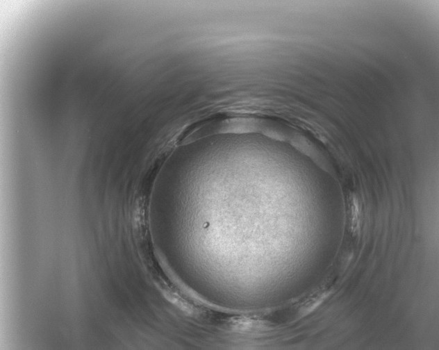 X0000061730284200512050942