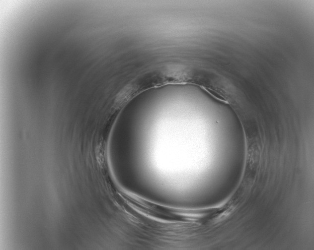 X0000061730285200512050942