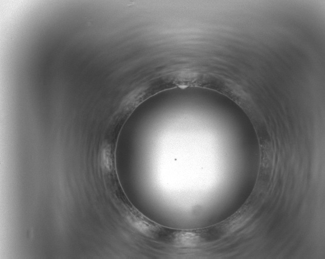 X0000061730287200512050942