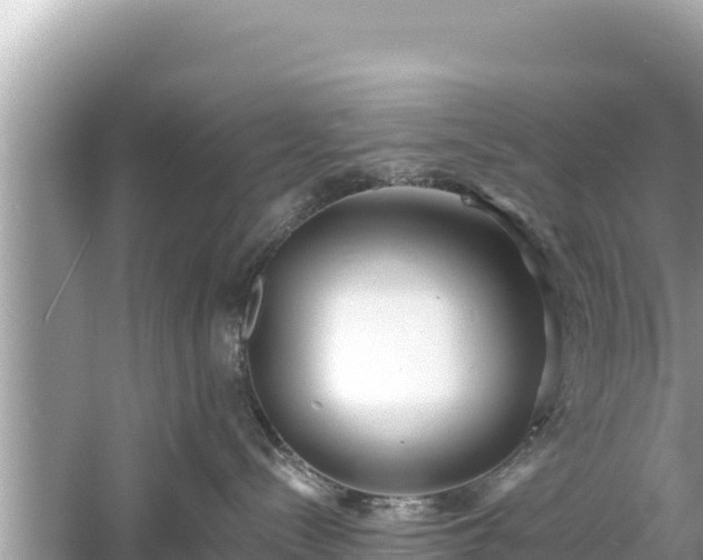 X0000061730288200512050942