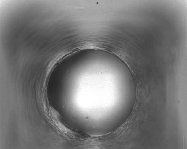 X0000061730289200512050941