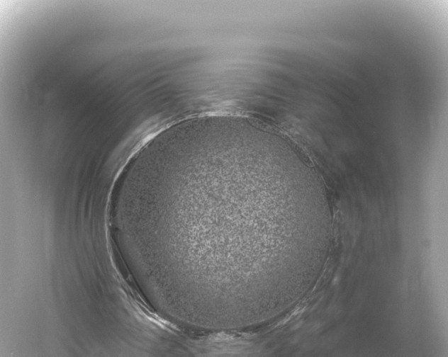 X0000061730290200512050941