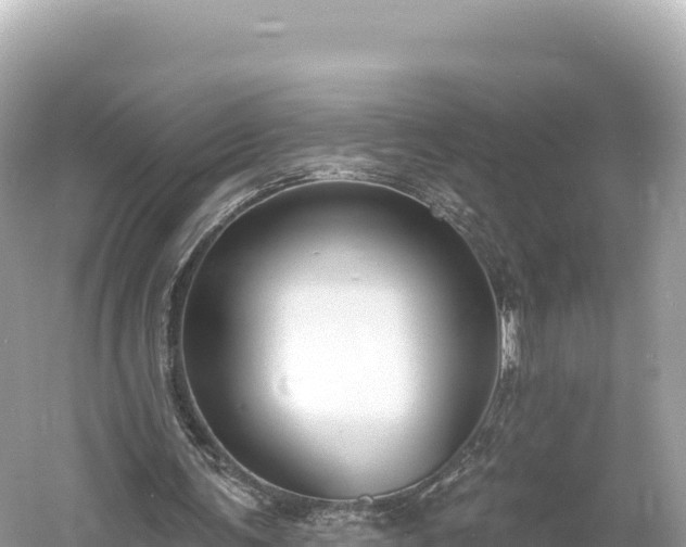 X0000061730291200512050941