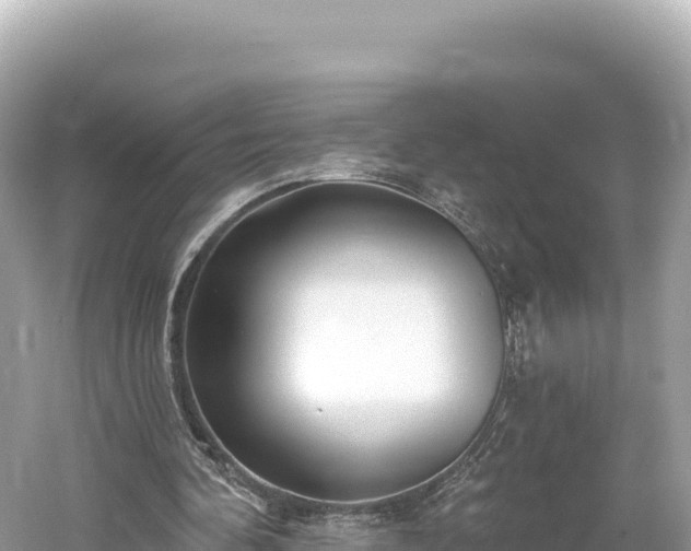 X0000061730292200512050941