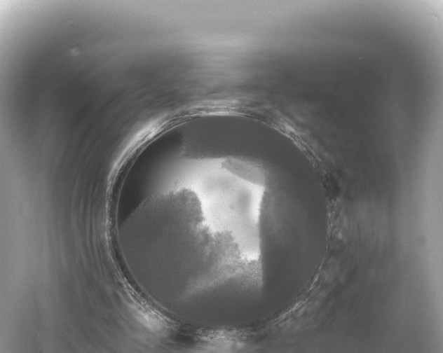 X0000061730293200512050941